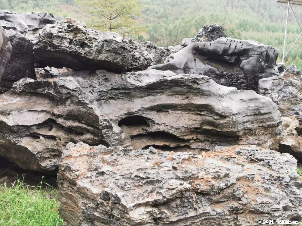 风景石、假山石大量有货,有需要的欢迎联系 - 新手上路 - 邵阳生活社区 - 邵阳28生活网 shaoyang.28life.net