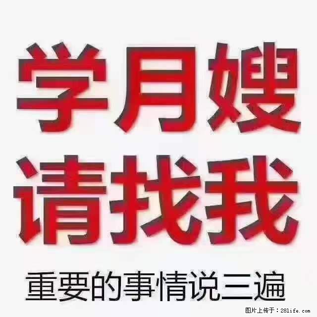 为什么要学习月嫂，育婴师？ - 新手上路 - 邵阳生活社区 - 邵阳28生活网 shaoyang.28life.net