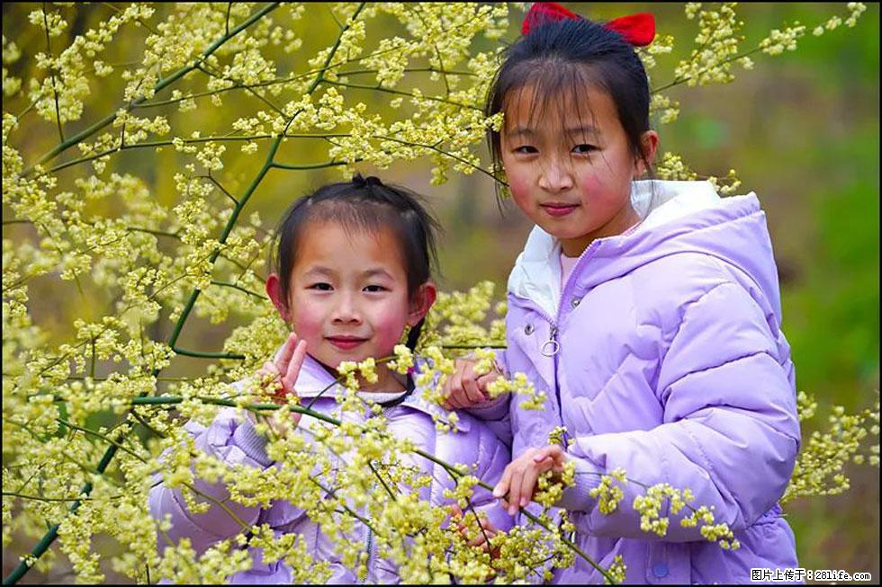 【春天，广西桂林灌阳县向您发出邀请！】米珠山前有片山苍子花在飘香 - 游山玩水 - 邵阳生活社区 - 邵阳28生活网 shaoyang.28life.net