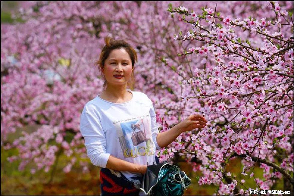 【春天，广西桂林灌阳县向您发出邀请！】官庄村有个醉美的桃花园 - 游山玩水 - 邵阳生活社区 - 邵阳28生活网 shaoyang.28life.net