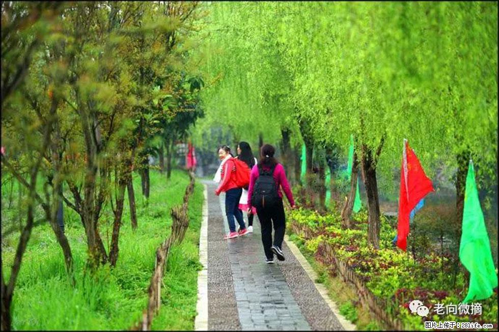 【春天，广西桂林灌阳县向您发出邀请！】江口老街又逢春 - 游山玩水 - 邵阳生活社区 - 邵阳28生活网 shaoyang.28life.net