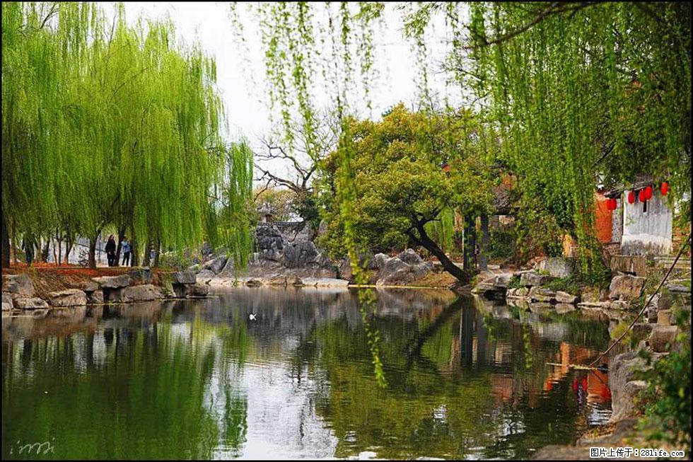 【春天，广西桂林灌阳县向您发出邀请！】江口老街又逢春 - 游山玩水 - 邵阳生活社区 - 邵阳28生活网 shaoyang.28life.net
