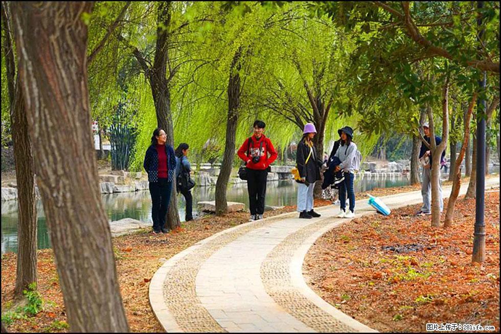 【春天，广西桂林灌阳县向您发出邀请！】江口老街又逢春 - 游山玩水 - 邵阳生活社区 - 邵阳28生活网 shaoyang.28life.net
