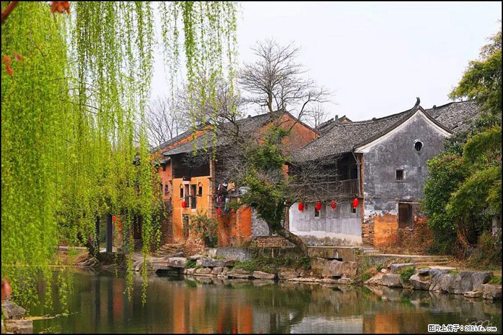 【春天，广西桂林灌阳县向您发出邀请！】江口老街又逢春 - 游山玩水 - 邵阳生活社区 - 邵阳28生活网 shaoyang.28life.net