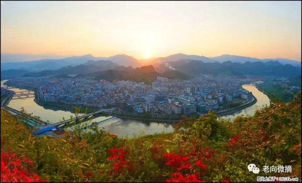 【春天，广西桂林灌阳县向您发出邀请！】登麒麟山，相约映山红 - 游山玩水 - 邵阳生活社区 - 邵阳28生活网 shaoyang.28life.net