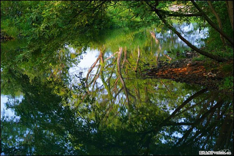 【春天，广西桂林灌阳县向您发出邀请！】熊家寨湿地公园 - 游山玩水 - 邵阳生活社区 - 邵阳28生活网 shaoyang.28life.net