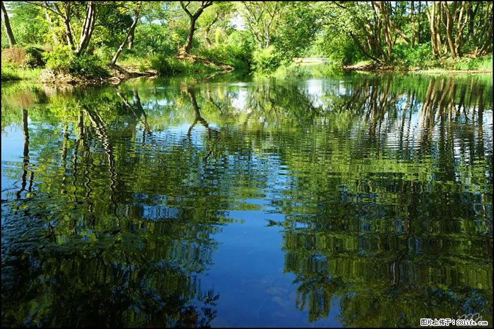 【春天，广西桂林灌阳县向您发出邀请！】熊家寨湿地公园 - 游山玩水 - 邵阳生活社区 - 邵阳28生活网 shaoyang.28life.net