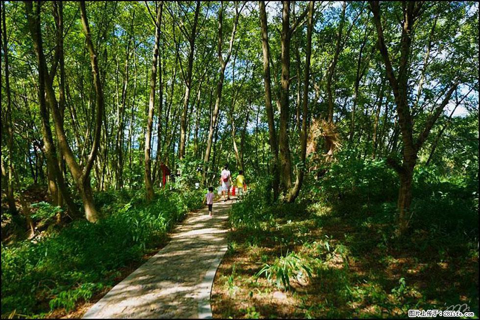 【春天，广西桂林灌阳县向您发出邀请！】熊家寨湿地公园 - 游山玩水 - 邵阳生活社区 - 邵阳28生活网 shaoyang.28life.net