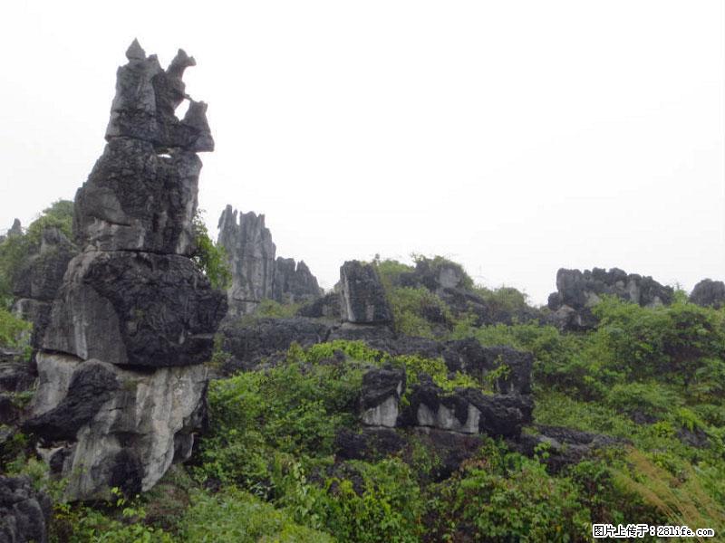 桂林旅游名城景点：灌阳文市石林 - 游山玩水 - 邵阳生活社区 - 邵阳28生活网 shaoyang.28life.net