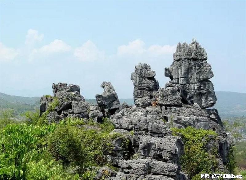 桂林旅游名城景点：灌阳文市石林 - 游山玩水 - 邵阳生活社区 - 邵阳28生活网 shaoyang.28life.net