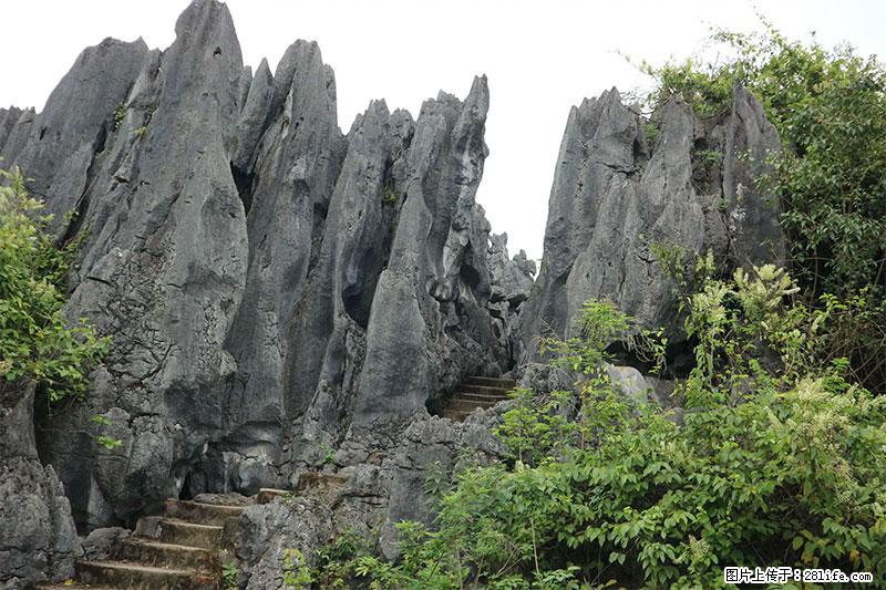 桂林旅游名城景点：灌阳文市石林 - 游山玩水 - 邵阳生活社区 - 邵阳28生活网 shaoyang.28life.net
