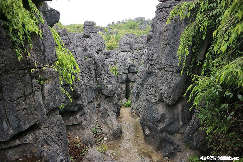 桂林旅游名城景点：灌阳文市石林 - 游山玩水 - 邵阳生活社区 - 邵阳28生活网 shaoyang.28life.net