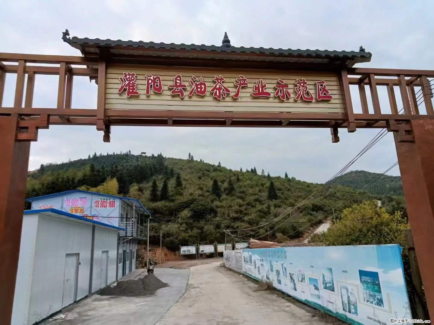 【灌阳县油茶产业示范区】一个有着充实的精神生活的人，对待身外之物自会有一种淡泊的态度 - 美食天地 - 邵阳生活社区 - 邵阳28生活网 shaoyang.28life.net