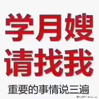 为什么要学习月嫂，育婴师？ - 邵阳28生活网 shaoyang.28life.net