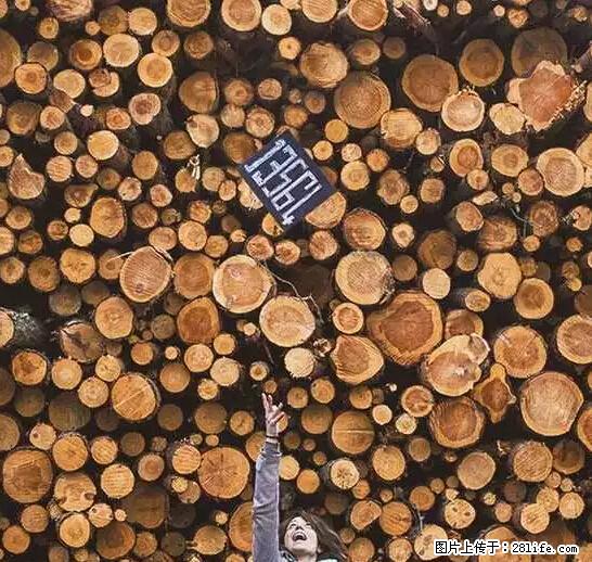 辞掉工作周游世界?现在他们在洗厕所…… - 游山玩水 - 邵阳生活社区 - 邵阳28生活网 shaoyang.28life.net