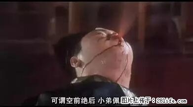笑癫了！一女的怀孕三年未生，他终于忍不住了... - 娱乐八卦 - 邵阳生活社区 - 邵阳28生活网 shaoyang.28life.net