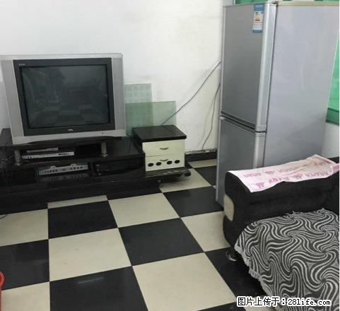 邵阳师范家属区 2室1卫1厅 - 房屋出租 - 房屋租售 - 邵阳分类信息 - 邵阳28生活网 shaoyang.28life.net