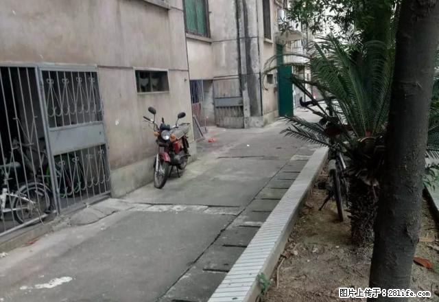 百春园烟草公司单位房出租 - 房屋出租 - 房屋租售 - 邵阳分类信息 - 邵阳28生活网 shaoyang.28life.net