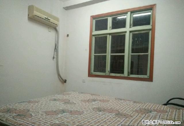 红旗路南门口 2室1厅1卫 - 房屋出租 - 房屋租售 - 邵阳分类信息 - 邵阳28生活网 shaoyang.28life.net