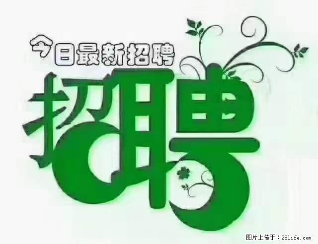 【招聘摄像师】待遇:试用期6000元/月,转正7000元/月+五险一金+餐补+节日福利+奖金 - 其他招聘信息 - 招聘求职 - 邵阳分类信息 - 邵阳28生活网 shaoyang.28life.net