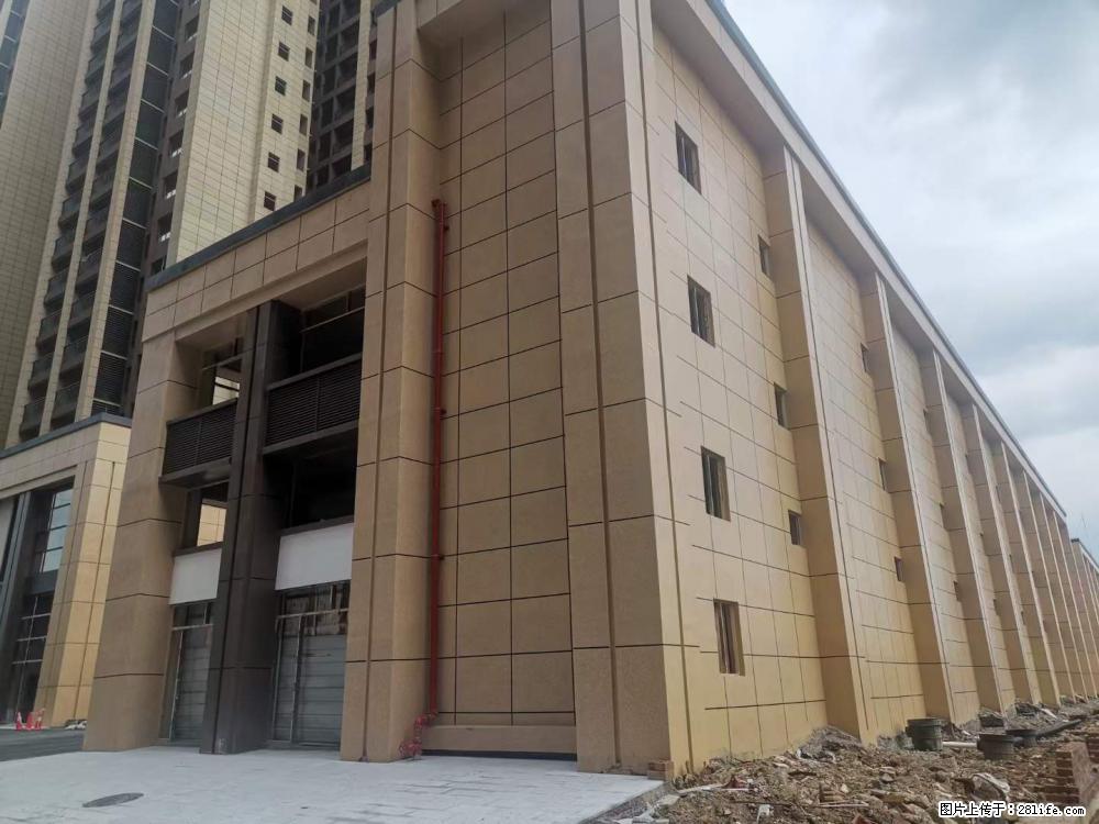 【广西三象建筑安装工程有限公司】外墙涂料工程 - 新手上路 - 邵阳生活社区 - 邵阳28生活网 shaoyang.28life.net