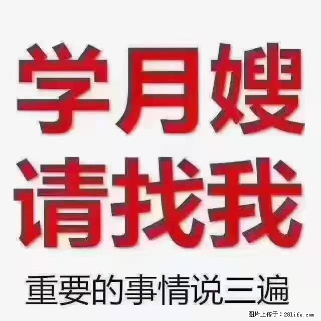【招聘】月嫂，上海徐汇区 - 职场交流 - 邵阳生活社区 - 邵阳28生活网 shaoyang.28life.net