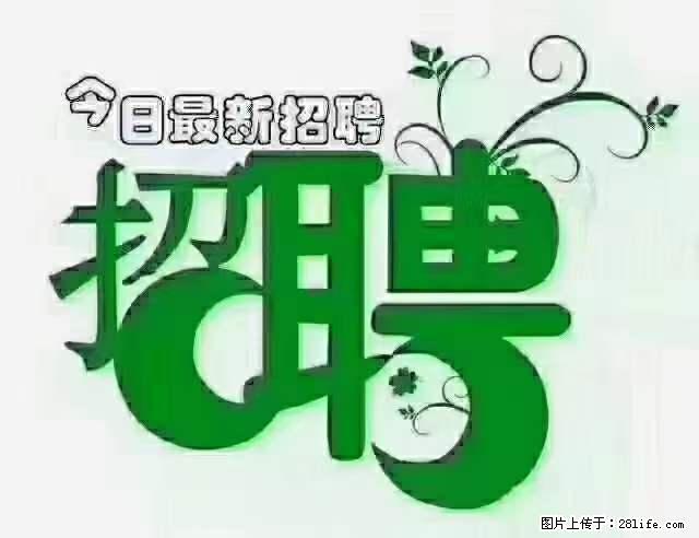 上海青浦区招仓管 - 职场交流 - 邵阳生活社区 - 邵阳28生活网 shaoyang.28life.net