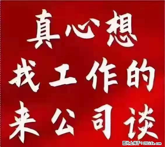 【上海】国企，医院招两名男保安，55岁以下，身高1.7米以上，无犯罪记录不良嗜好 - 职场交流 - 邵阳生活社区 - 邵阳28生活网 shaoyang.28life.net