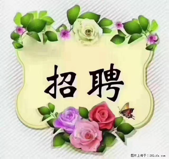 【招聘】住家育儿嫂，上户日期：4月4日，工作地址：上海 黄浦区 - 职场交流 - 邵阳生活社区 - 邵阳28生活网 shaoyang.28life.net