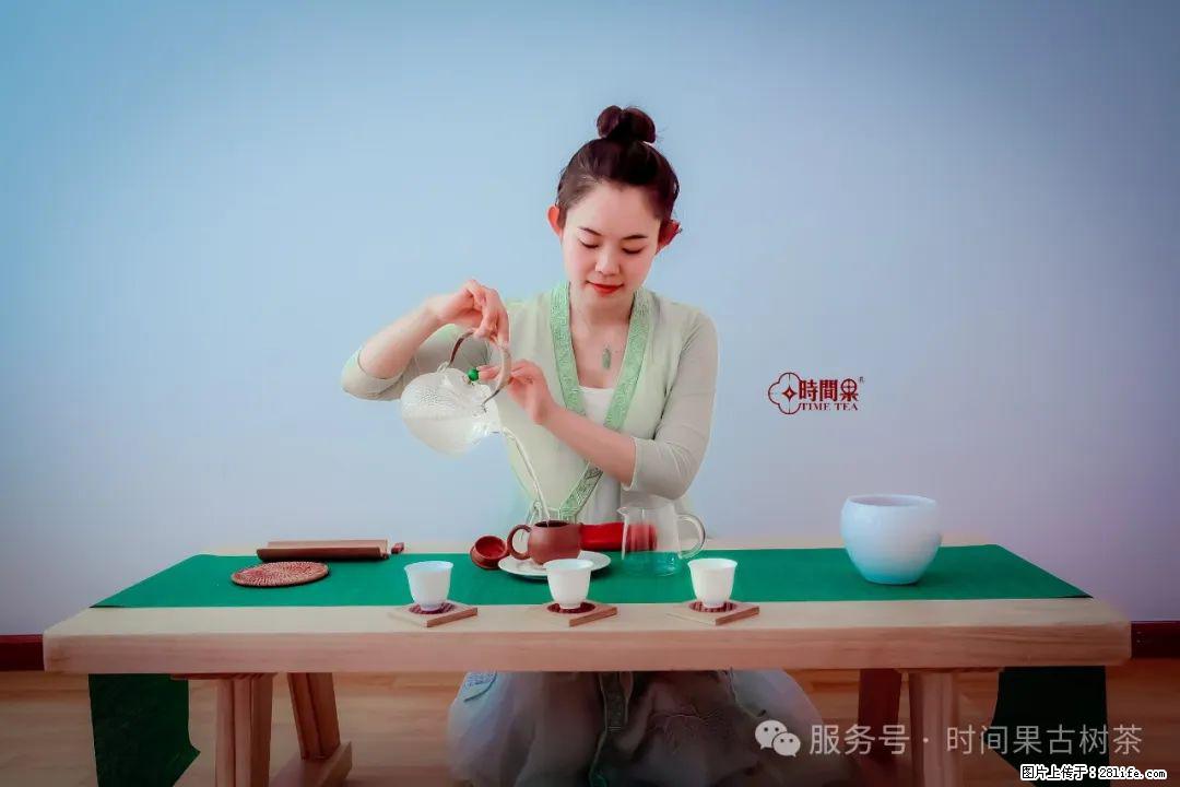 时间果百年古树龙珠普洱生茶 - 购物交流 - 邵阳生活社区 - 邵阳28生活网 shaoyang.28life.net