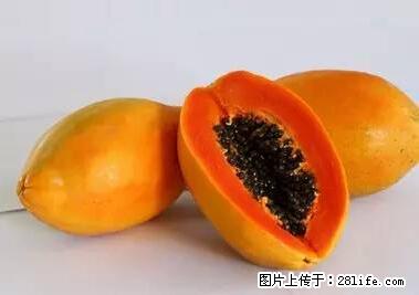 晕车、脚气、牙齿变黄、皮肤粗糙？学会这些三分钟搞定！ - 邵阳生活资讯 - 邵阳28生活网 shaoyang.28life.net
