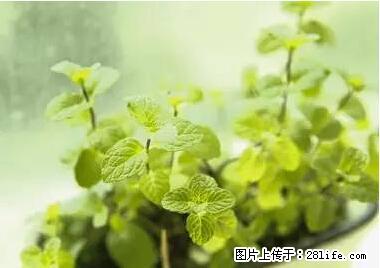 晕车、脚气、牙齿变黄、皮肤粗糙？学会这些三分钟搞定！ - 邵阳生活资讯 - 邵阳28生活网 shaoyang.28life.net
