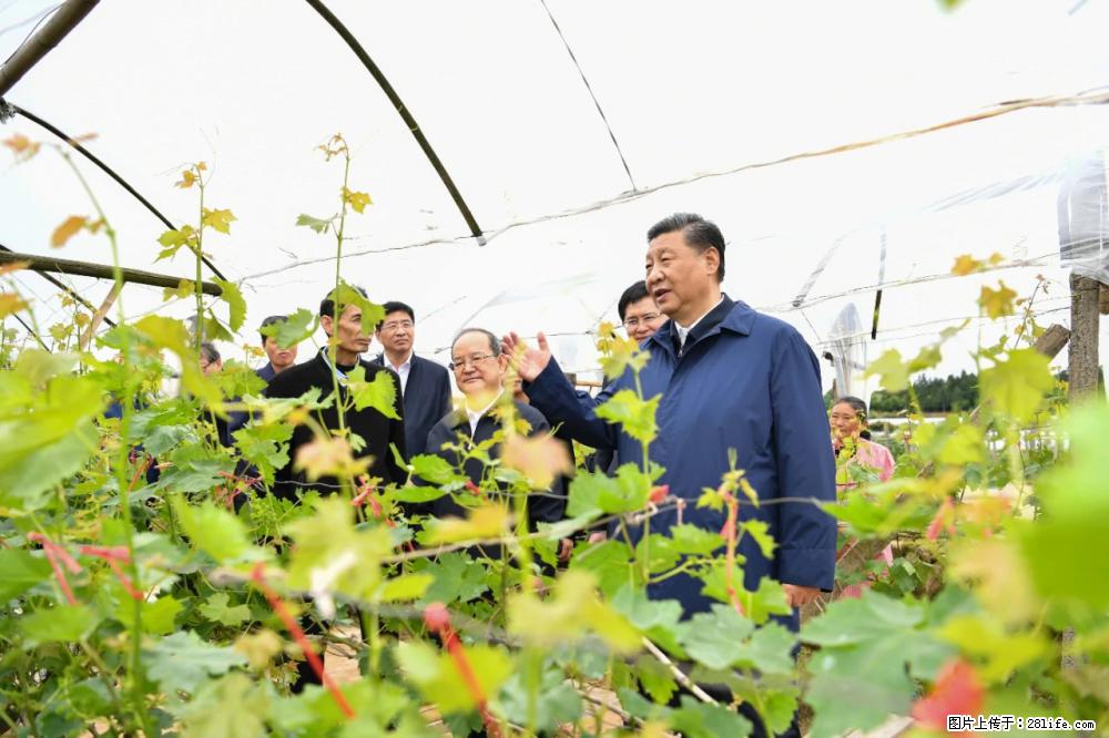 习近平赴广西考察调研 - 邵阳生活资讯 - 邵阳28生活网 shaoyang.28life.net