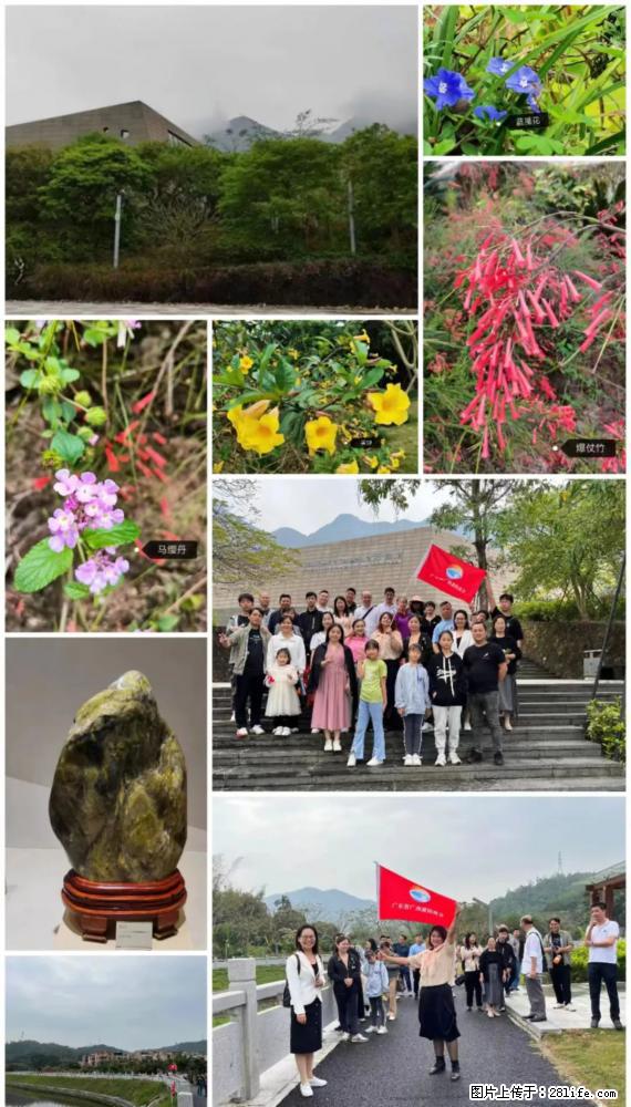 “粤灌文化 美好生活”油茶文化主题活动在广东深圳成功举办 - 邵阳生活资讯 - 邵阳28生活网 shaoyang.28life.net