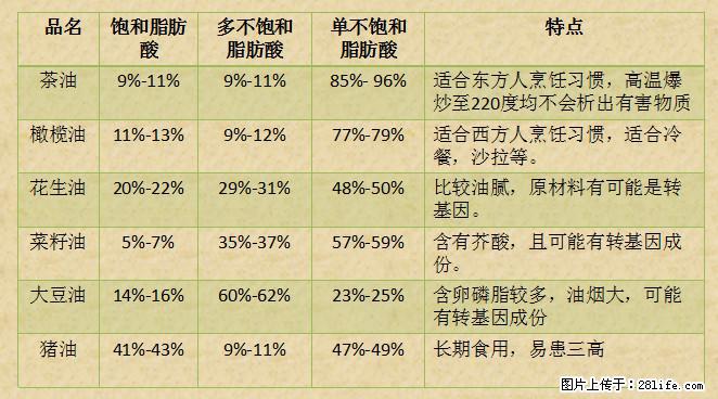 揭秘茶油的5大核心营养成分！被称为人体健康的“守护盾”！ - 邵阳生活资讯 - 邵阳28生活网 shaoyang.28life.net