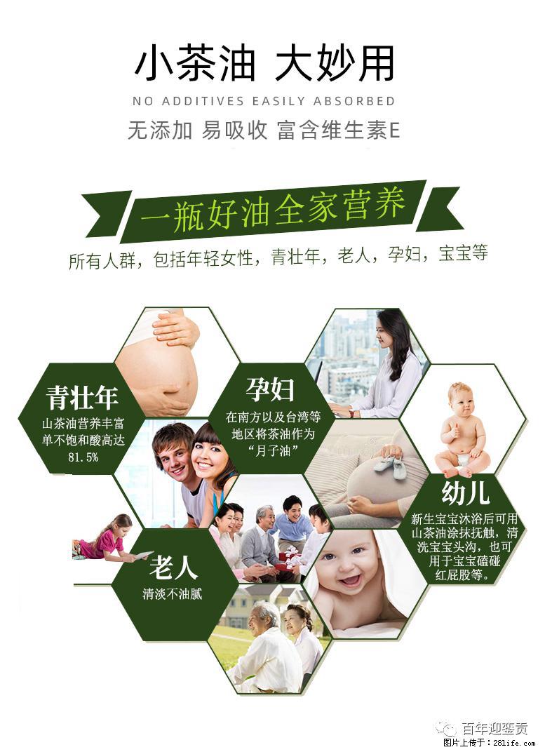 世界没有真相，只有认知，最好的食用油是中国的山茶油！ - 邵阳生活资讯 - 邵阳28生活网 shaoyang.28life.net