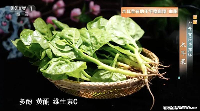 比牛奶补钙还厉害！凉血解毒、稳血糖...这菜冬天必吃，很多人却当草 - 邵阳生活资讯 - 邵阳28生活网 shaoyang.28life.net