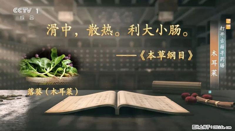 比牛奶补钙还厉害！凉血解毒、稳血糖...这菜冬天必吃，很多人却当草 - 邵阳生活资讯 - 邵阳28生活网 shaoyang.28life.net