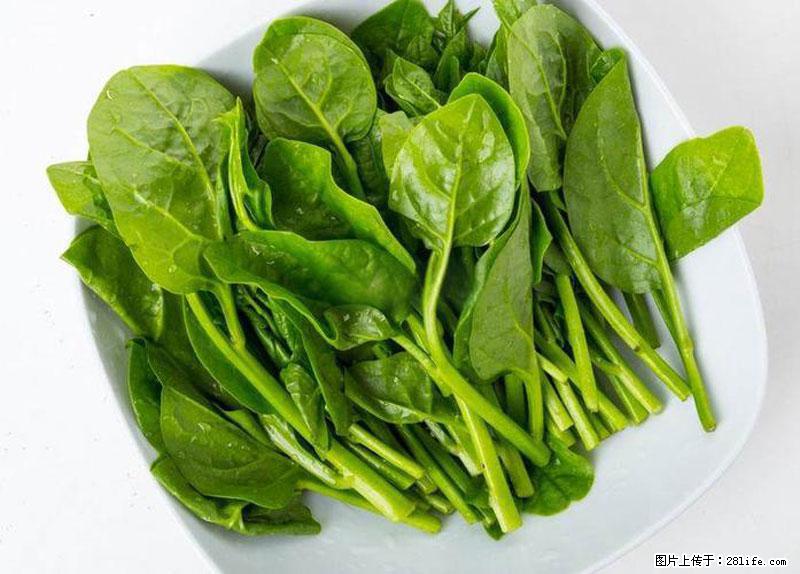这些蔬菜是“天然钙片”，这6种被医生重点推荐 - 邵阳生活资讯 - 邵阳28生活网 shaoyang.28life.net