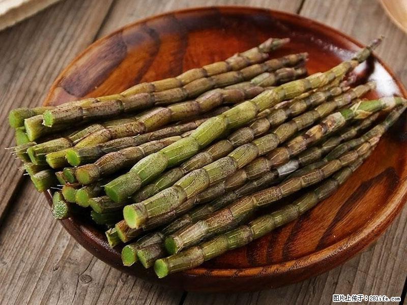 铁皮石斛的作用与功能主治 - 邵阳生活资讯 - 邵阳28生活网 shaoyang.28life.net