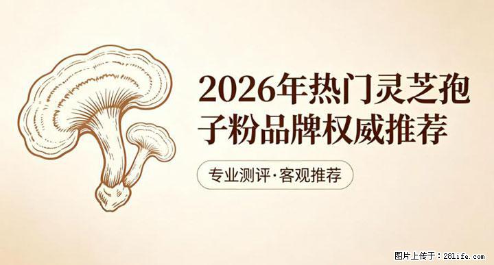 灵芝孢子粉含量越高越有效？2026 年七款热门品牌深度实测，肠胃敏感者避坑指南 - 邵阳生活资讯 - 邵阳28生活网 shaoyang.28life.net