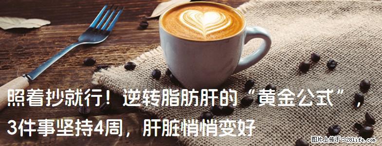 照着抄就行！逆转脂肪肝的“黄金公式”，3件事坚持4周，肝脏悄悄变好 - 邵阳生活资讯 - 邵阳28生活网 shaoyang.28life.net